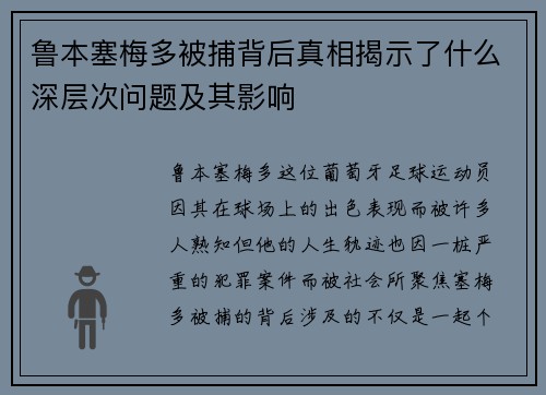 鲁本塞梅多被捕背后真相揭示了什么深层次问题及其影响